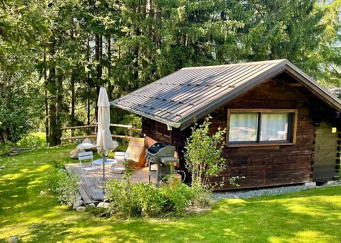 샬레 Les Du Glacier - Mazot Des Glaces - *